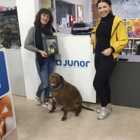 junor comercio de materiais de construcao